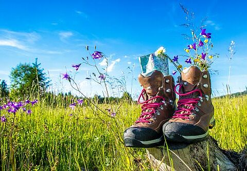 Bottes dans un champ contenant des fleurs